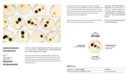网格爆料案例范文最新,智慧社区治理新篇章